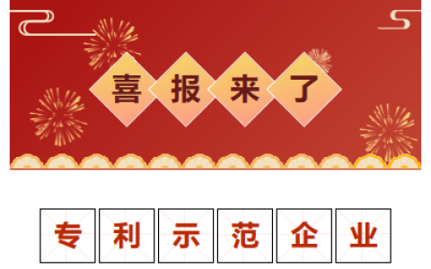 喜報！金華市專利示范企業(yè)！